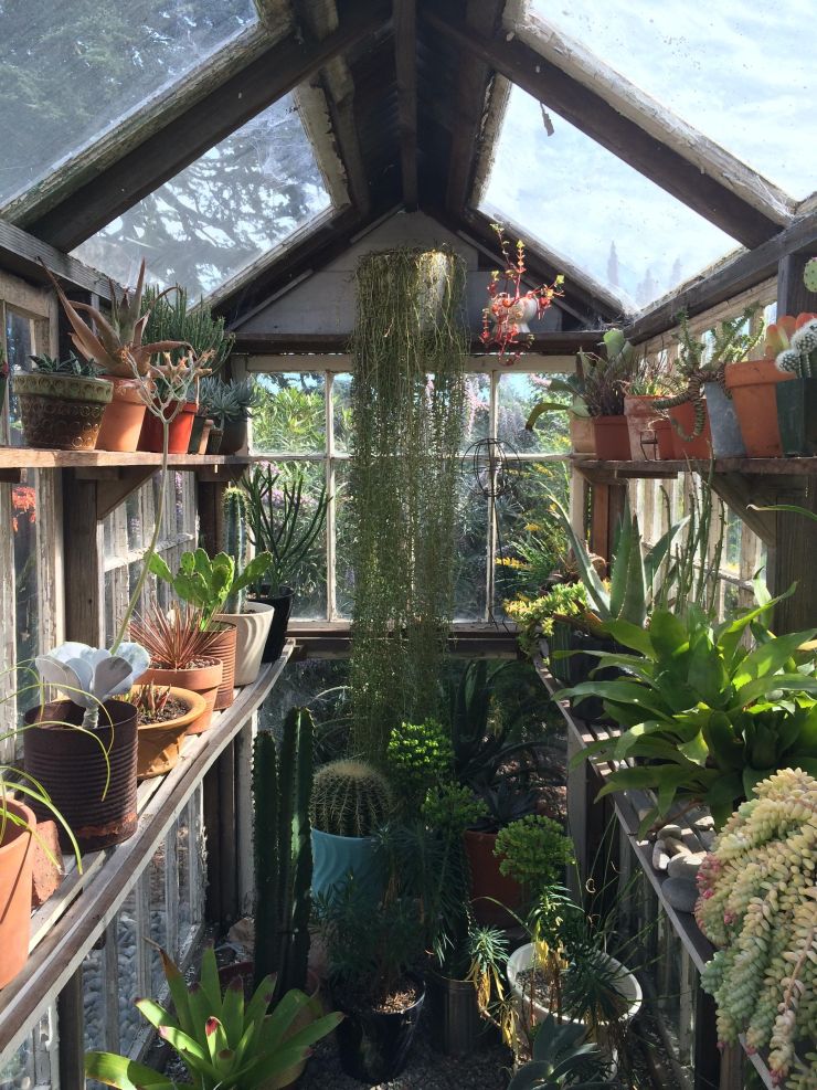 Where to Start with Your Greenhouse Shelving